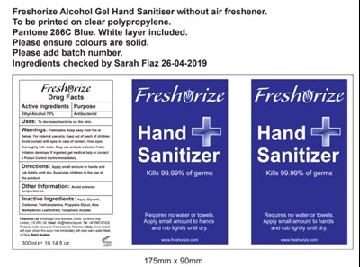 300 mL Hand Sanitizer (300ml Hand Sanitizer)